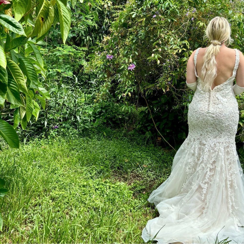 ~NWT Wedding Gown No Flaws, Never Worn/Altered~